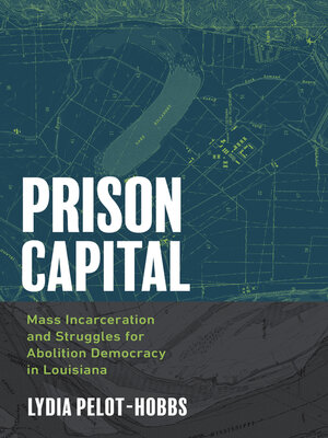 cover image of Prison Capital